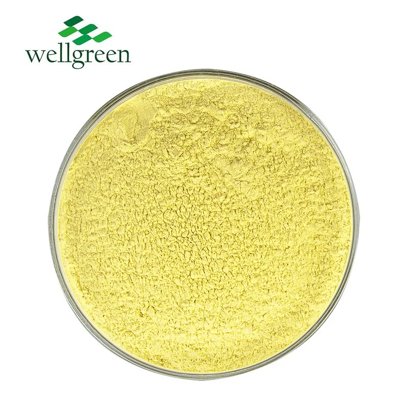 Factory Supply Natural Dry Dehydrated Citrus Lemon Peel Extract CAS 520-34-3 98% Diosmetin Powder