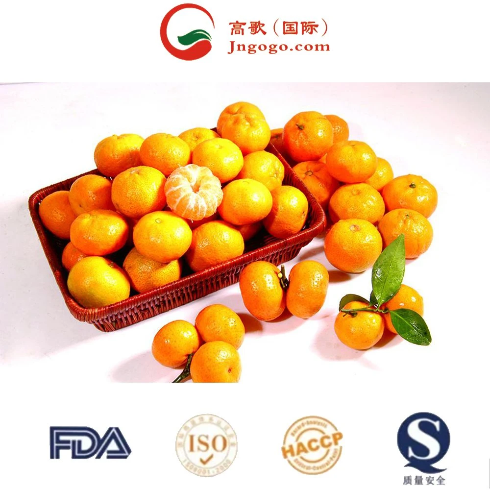 Fresh Low Price Natural Satsuma High quality/High cost performance  Sweet Tangerine