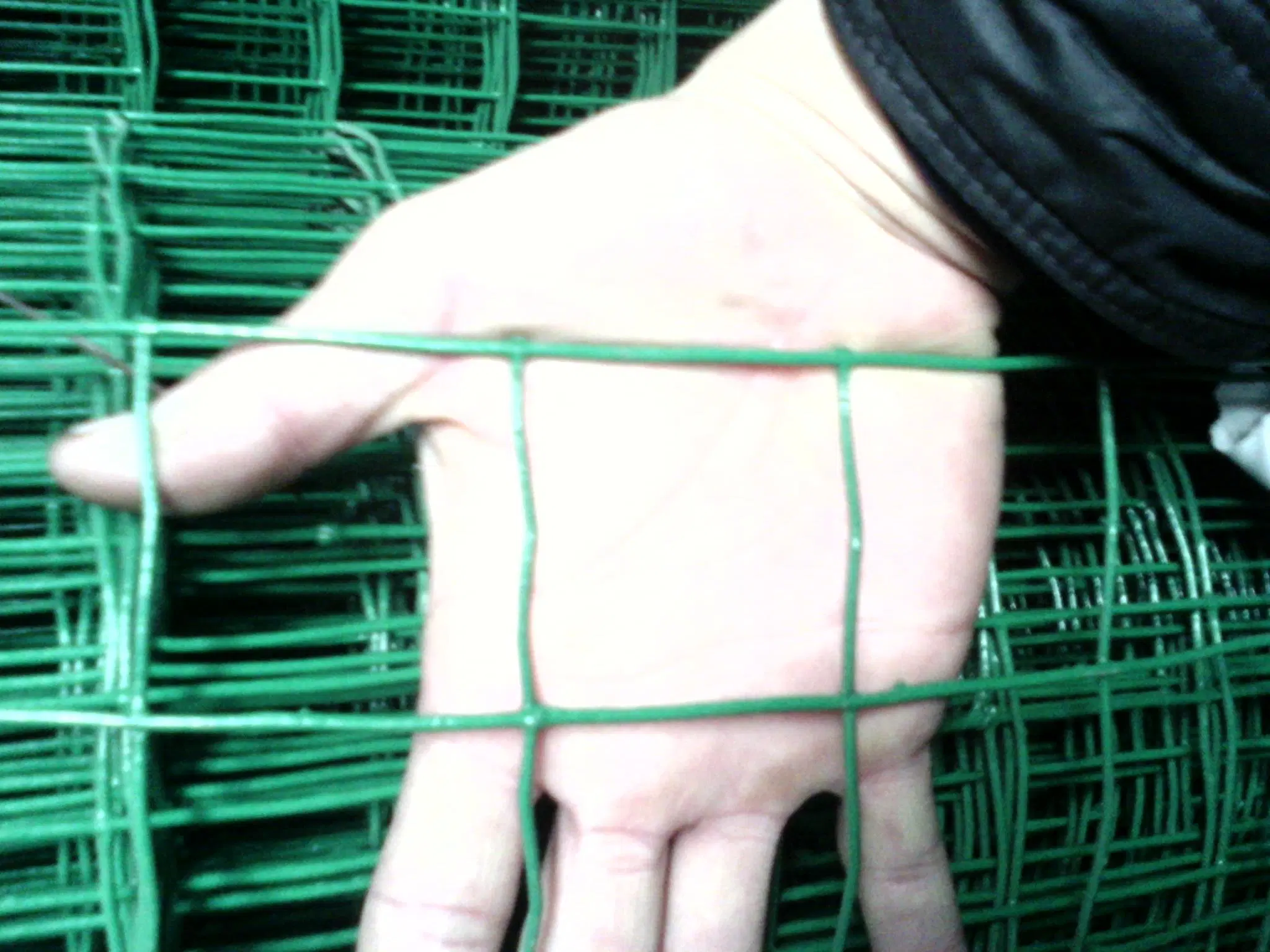 PVC Coated Color Green/Black Roll/Panel Chain Link Wire Mesh