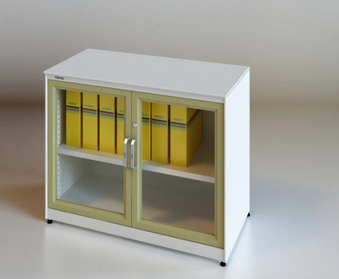 Popular Glazed Swing Door Cabinet for Office Furniture with Lock