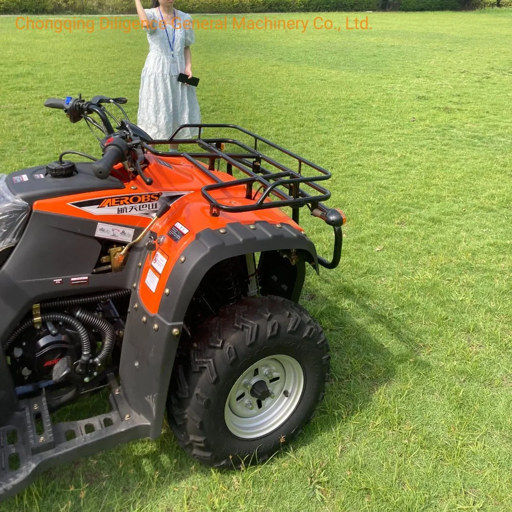 229.3cc Rated Load 300kg ATV Quad Bike Mini Electric Car