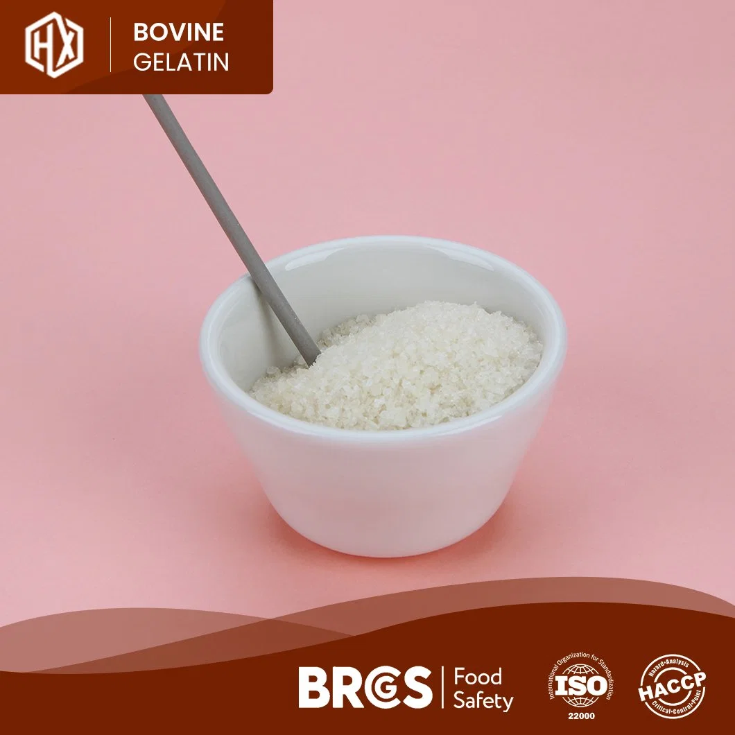 Haoxiang High-Quality Pharmaceutical Bovine Skin Gelatin Powder Free Sample Food Bovine Skin Gelatin China Manufacturer Ready to Ship Halal Bovine Skin Gelatin