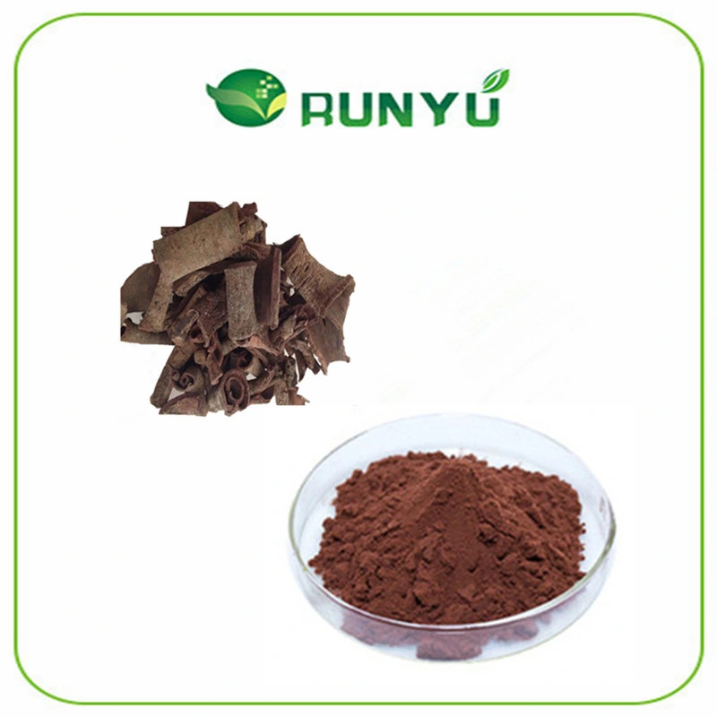 Factory Supply Best Price Ruscus Aculeatus Root Extract Powder Ruscosaponins 5%-20%