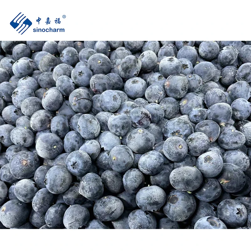 Sinocharm HACCP Manufacture Wholesale Price 500g Blueberry Frozen