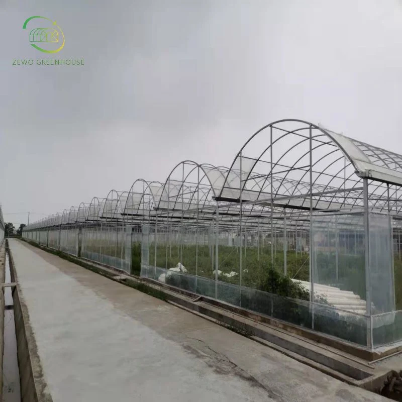 High quality/High cost performance  Low Cost Multi Span Plastic Film Greenhouse with Garden Water Sprayer with Pump