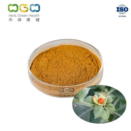 Factory Supply Plant Extract Wholesale Pure Natural Withanolides 5% Ashwagandha Extract Powder for Sleep