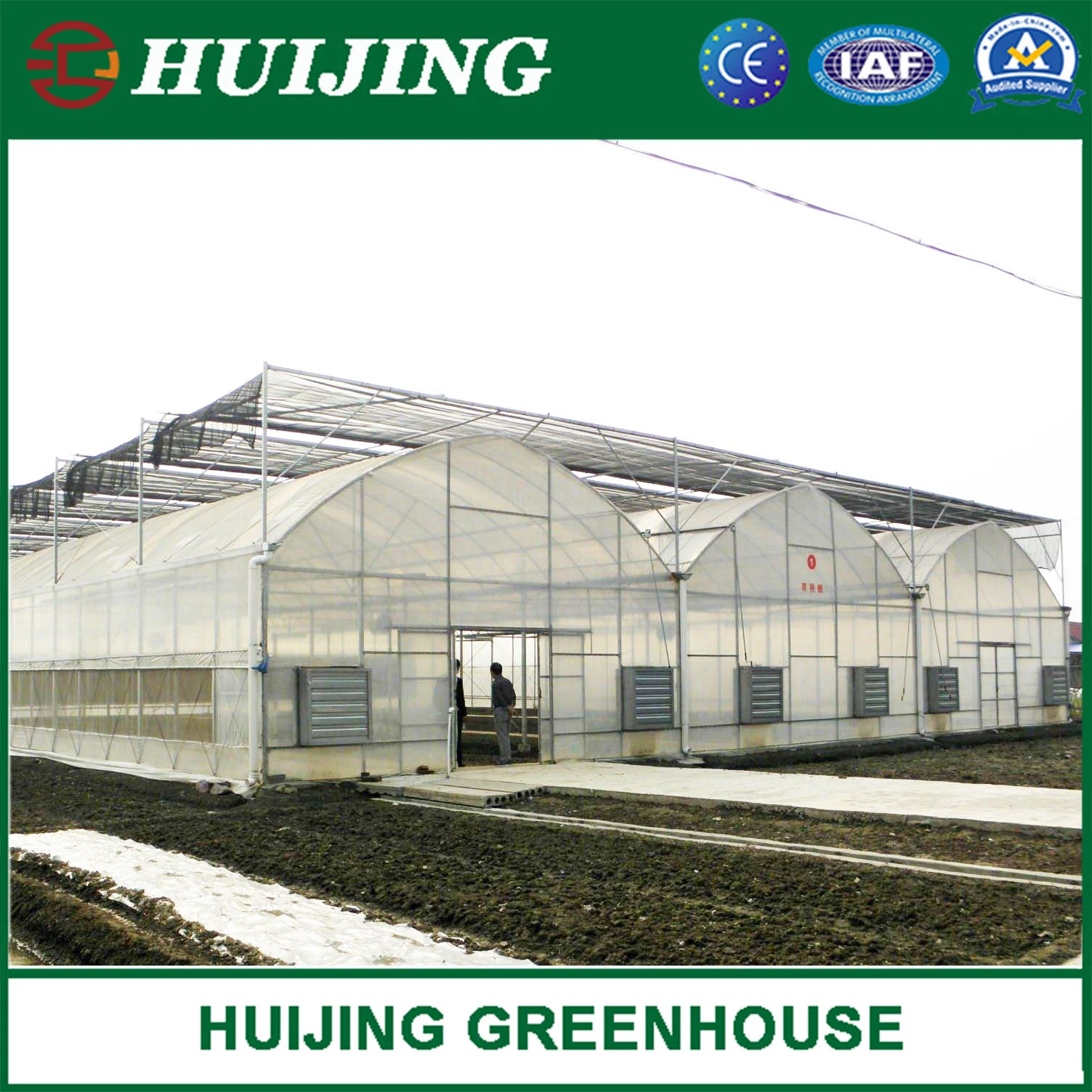 Barato Agrícola plástico película cubierta Multi Span Greenhouse para la venta