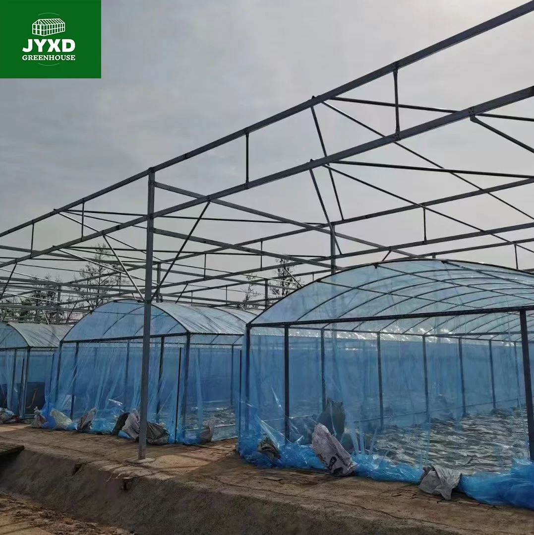 Modern Agriculture Plastic Film Multi-Span Greenhouse for Vegetables/Fruits/Flowers/Tomato/Cucumber/Strawberry