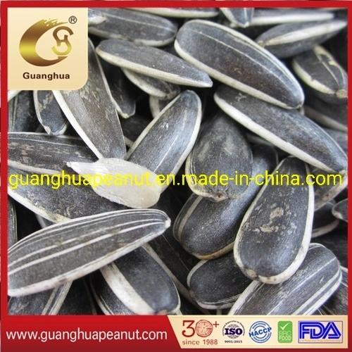 New Crop Good Quality Sunflower Seeds 601