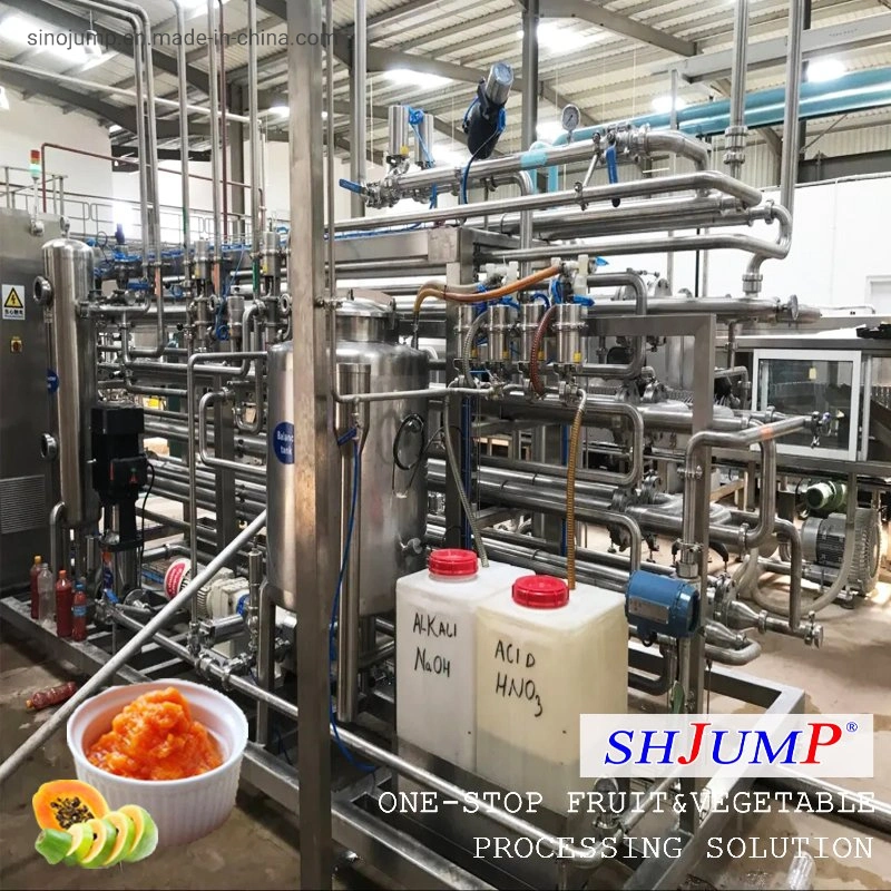 8t Per Hour Processing Capacity Pineapple Juice Processing Line