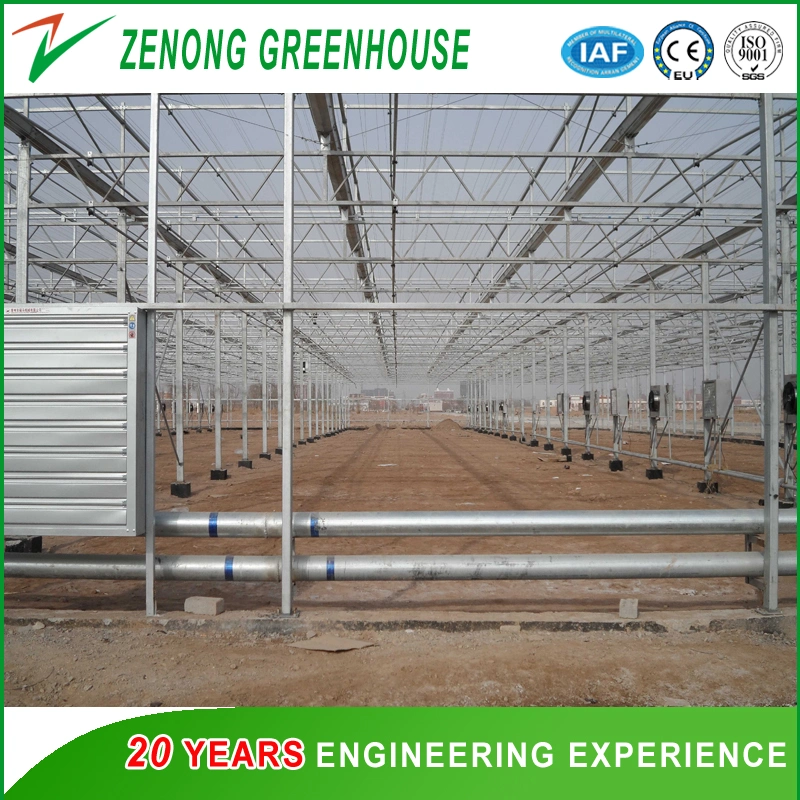 Intelligent Glass Green House for Vegetables Fruits Flowers