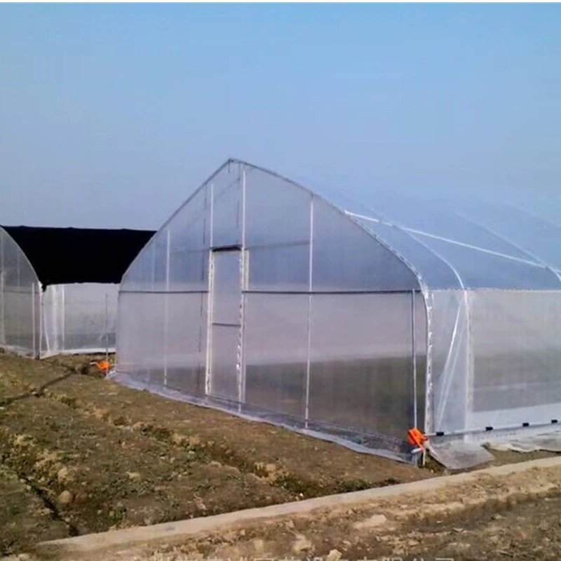 El patio jardín personalizado plástico pequeño Polytunnel andando en invernadero de flores y sandía