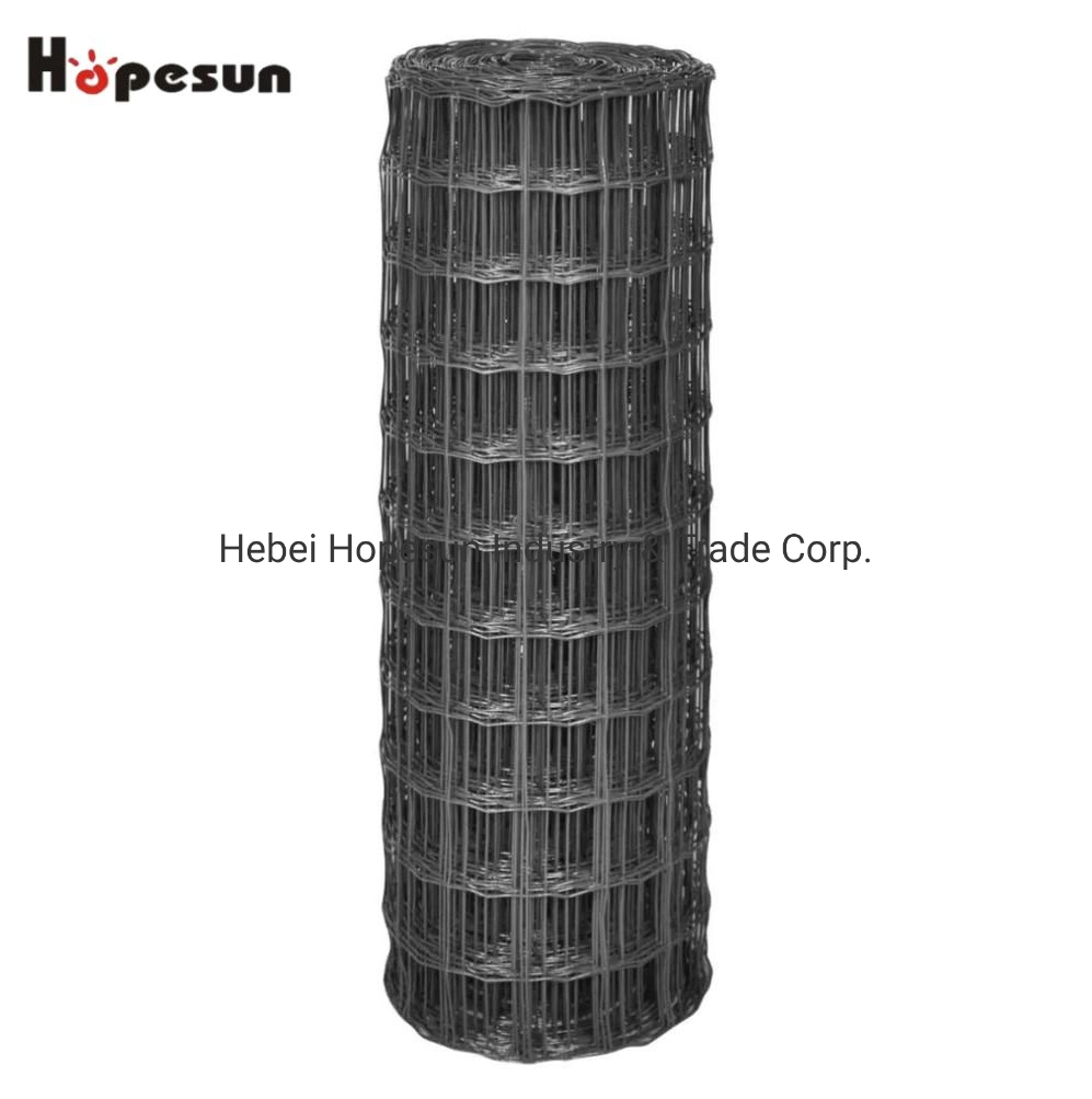 Holland PVC Coated Welded Steel Wire /Protecting Wire Mesh for Farm and Residentials