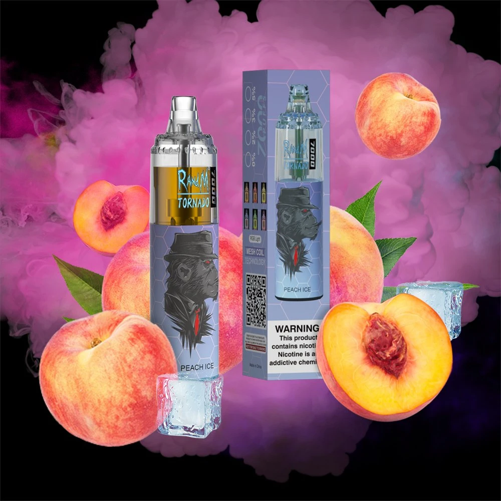 Top1 meilleur Vape jetable Randm Tornado 7000 bouffées avec 38 Saveurs de la fabrique originale Vape Wholesale/Supplier