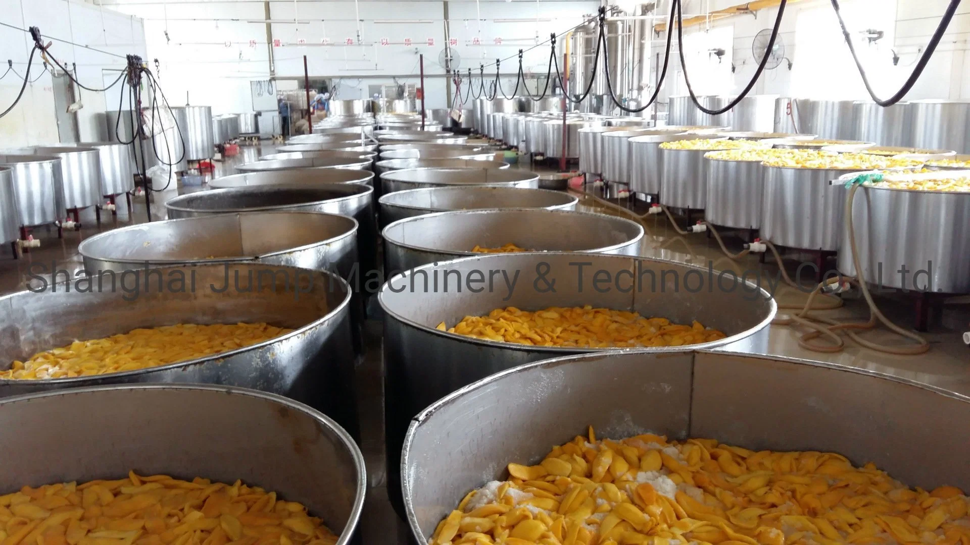 Dried Plum Processing Line Sugared Plum Drying Machine Fresh Plum Air Drying Line