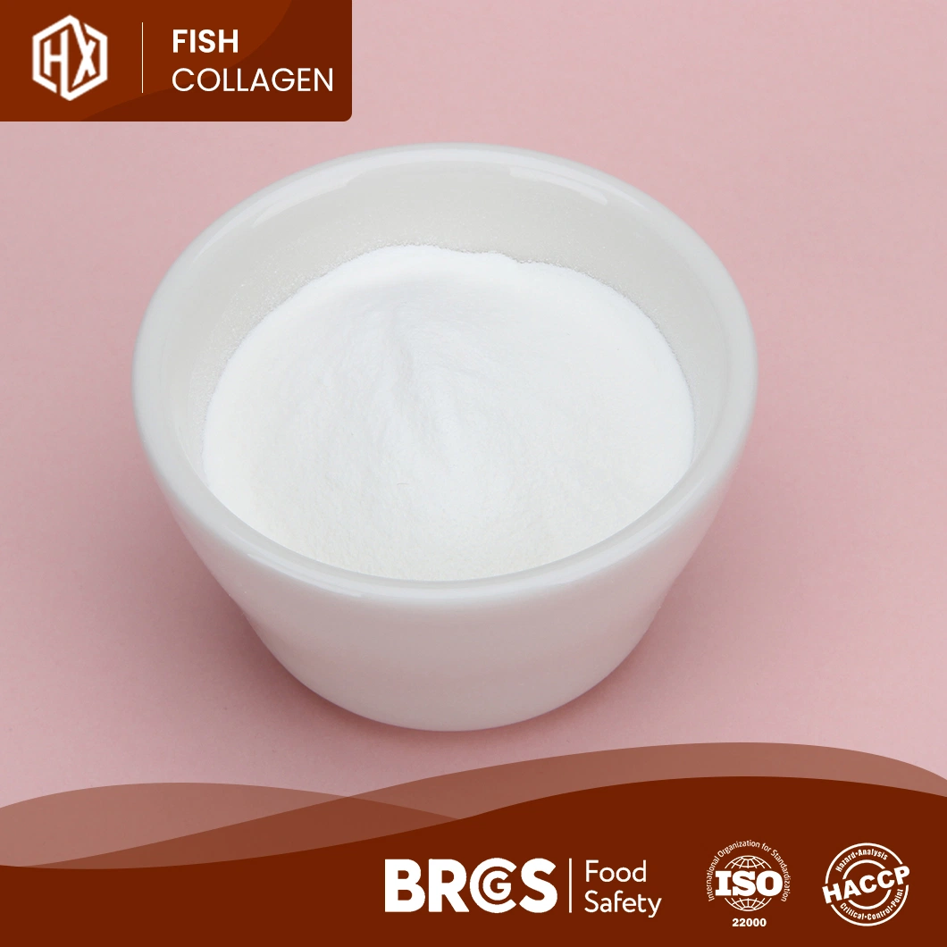 Haoxiang Rendimiento de alta calidad/alto costo al por mayor Hidrolizado Marine Collagen Pimiento polvo barato Precio libre suministrado muestra de la escala de Tilapia marina Collagen Peptide Powder