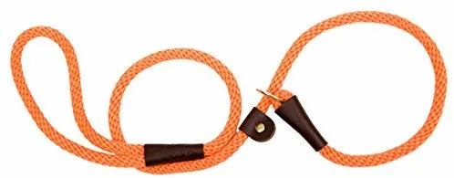 Best Dog Leash Slip Lead for Dogs Medium to Large