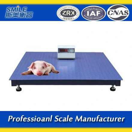 Customized Size 1-3m and 1-5tons Weighing Scale Electronic Floor Platform Scales