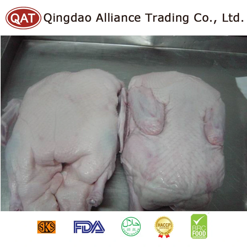 Fresh Live White Whole Frozen Duck Cooked Meat