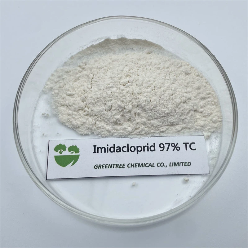 CAS No. 138261-41-3 Insecticide Control Thrips Imidacloprid 97% Technical