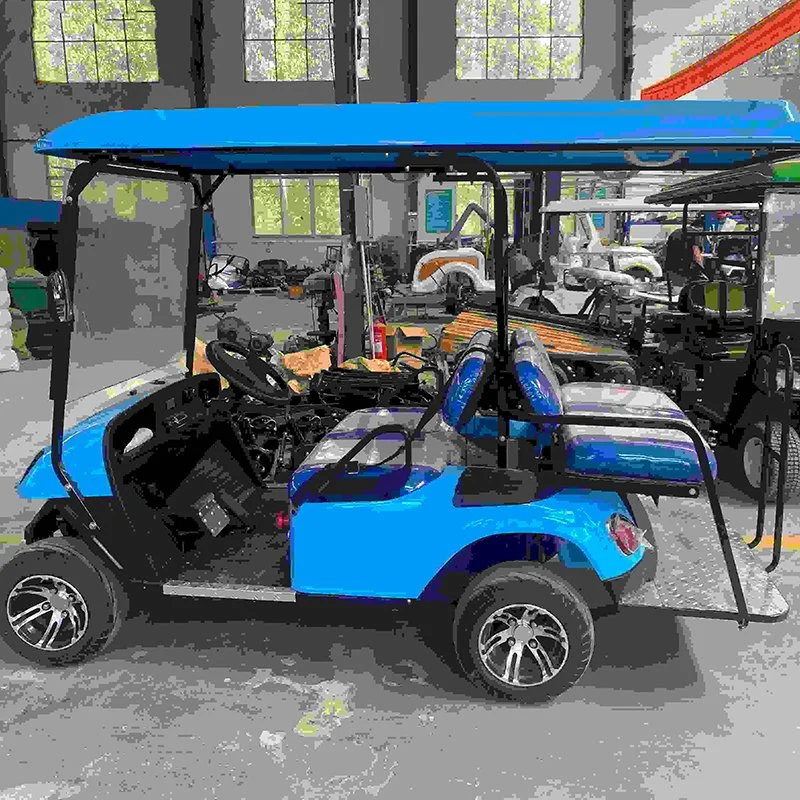 Lithium Battery AC Motor Ice Cream Golf Cart 4X4 Hunting Golf Cart Club Car for Farm Park