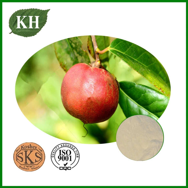 Tea Saponin 60%~98% Camellia Oleifera Seed Extract