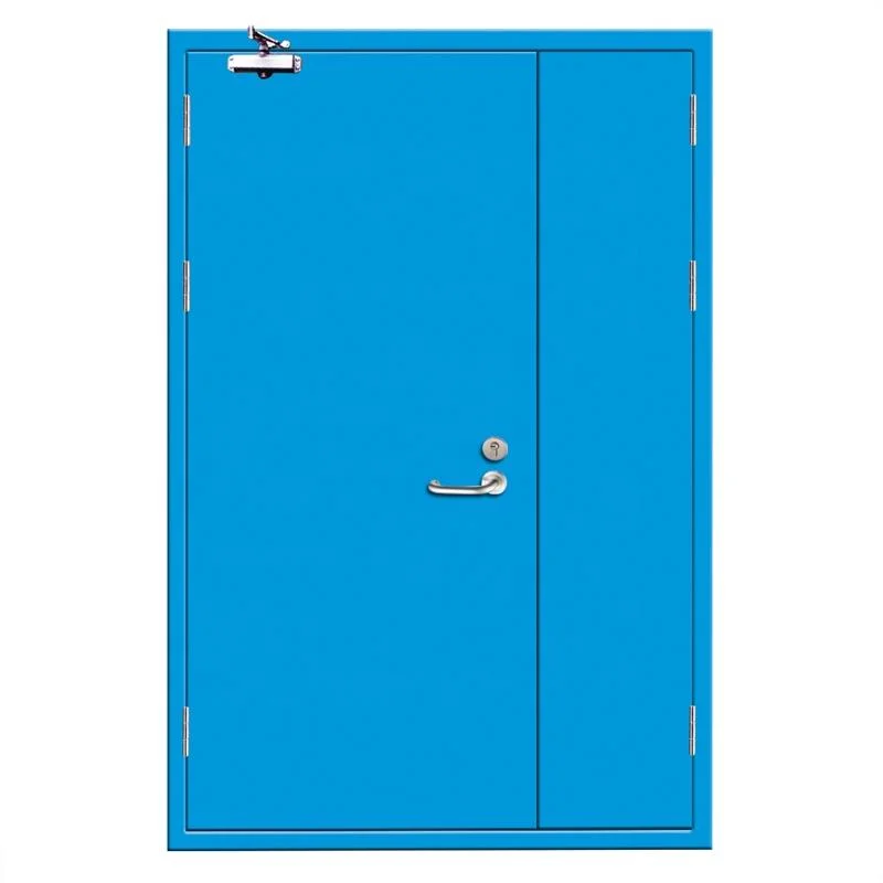 Flush Design Fireproof Steel Door School Classroom Fire Rated Smoke Control Doors with Ral Colors