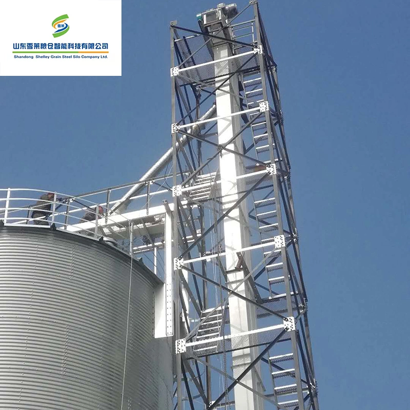 Granja avícola utiliza el maíz grano de trigo elevador de cucharón con alta eficiencia