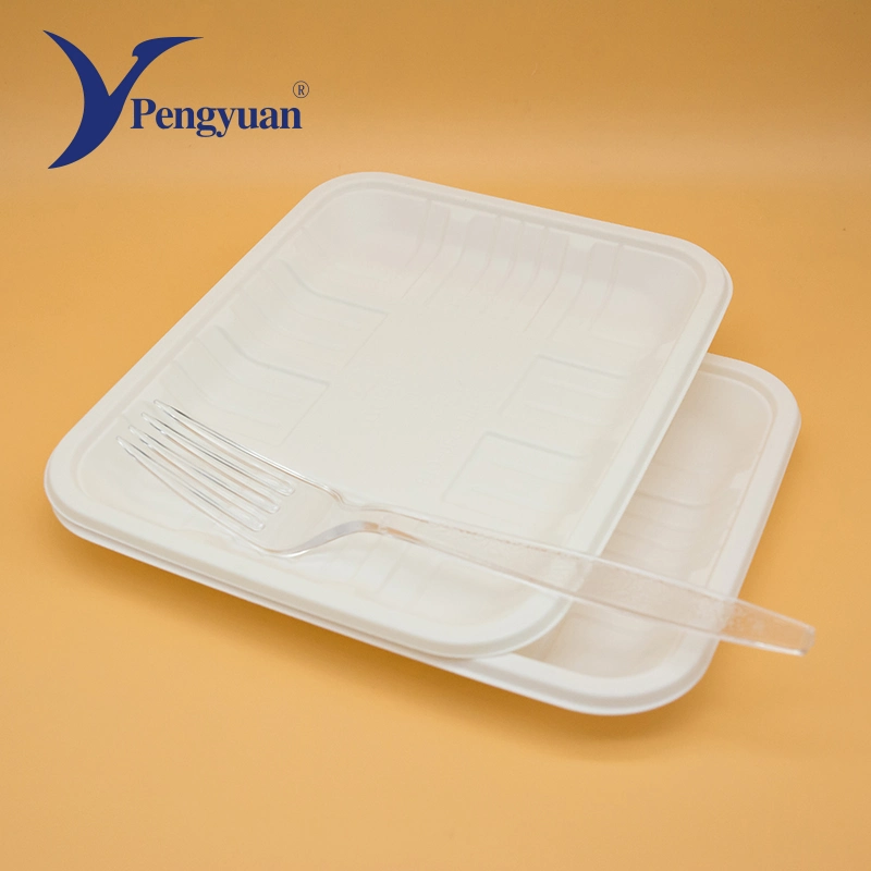 Corn Starch Disposable Paper Food Tray