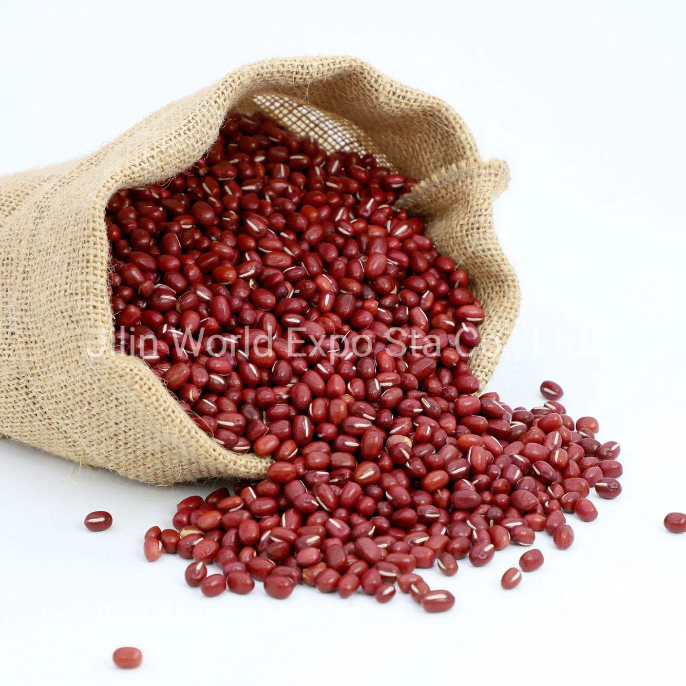 Wholesale/Supplier Dried Red Beans 4.5mm for Food