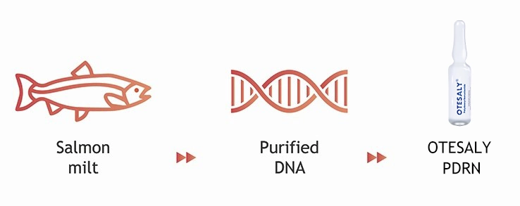 Principaux fournisseurs d'hydratation Otesaly Pdrn face à la diminution de pores ride de saumon dépose les ampoules de soins de la peau de sérum de mésothérapie