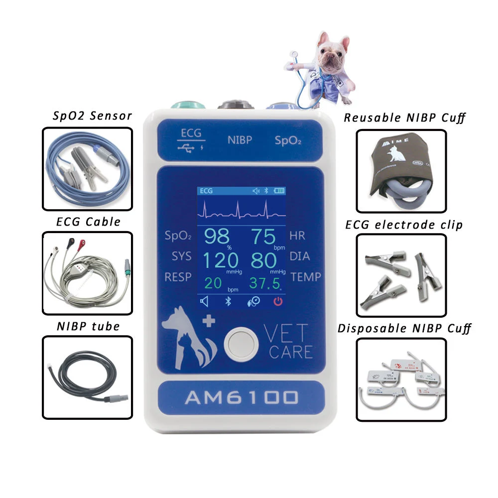 Icen Multiparameter Instrument Veterinary Parameter with Cheap Price