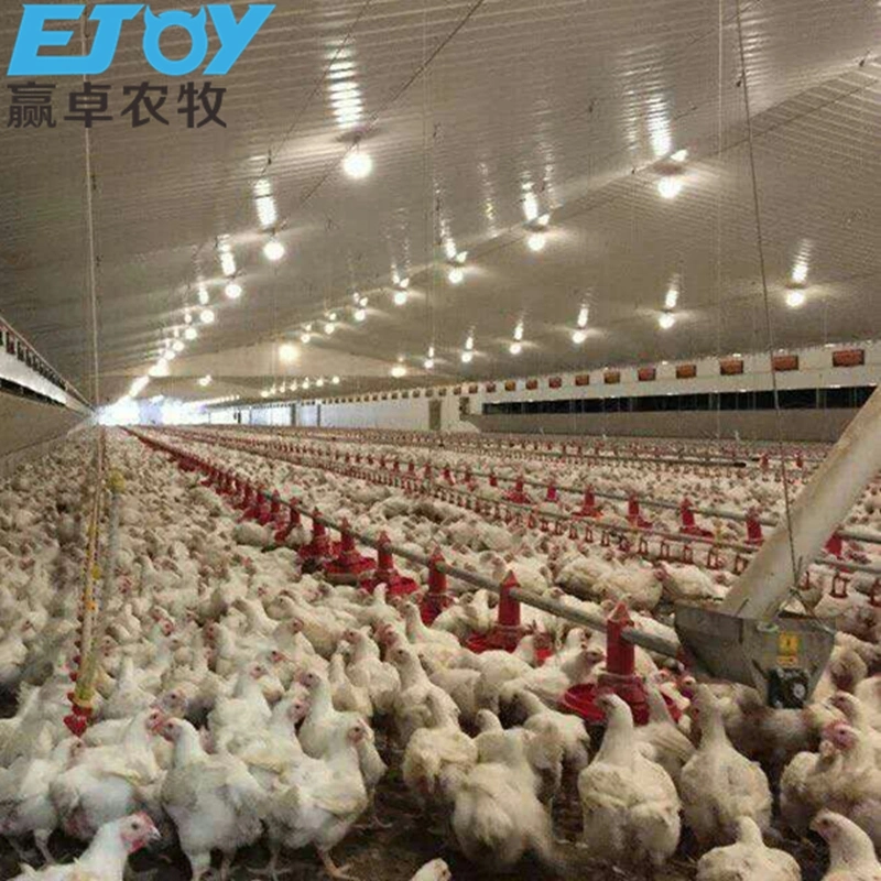 Hot Sale Complete Controlled Prefabricated Chicken House with Full Set Poultry Equipment