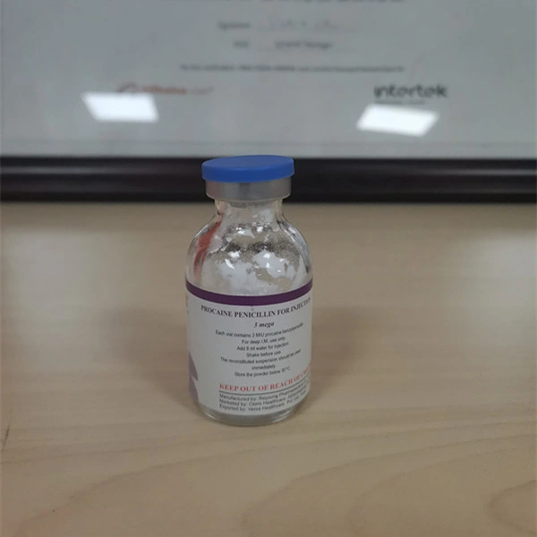 Fortified Procaine Penicillin for Injection