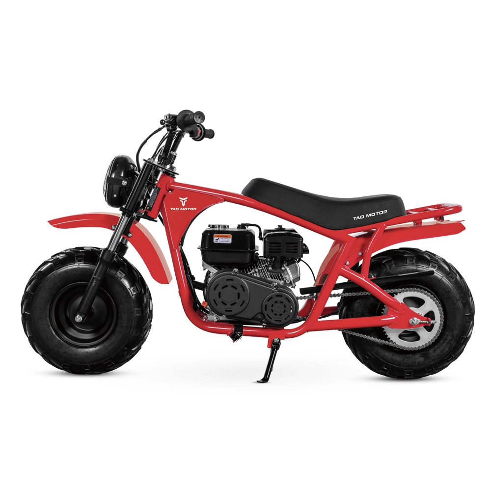 Tao Motor 200cc Pit Bike Mini Moto Dirt Bike