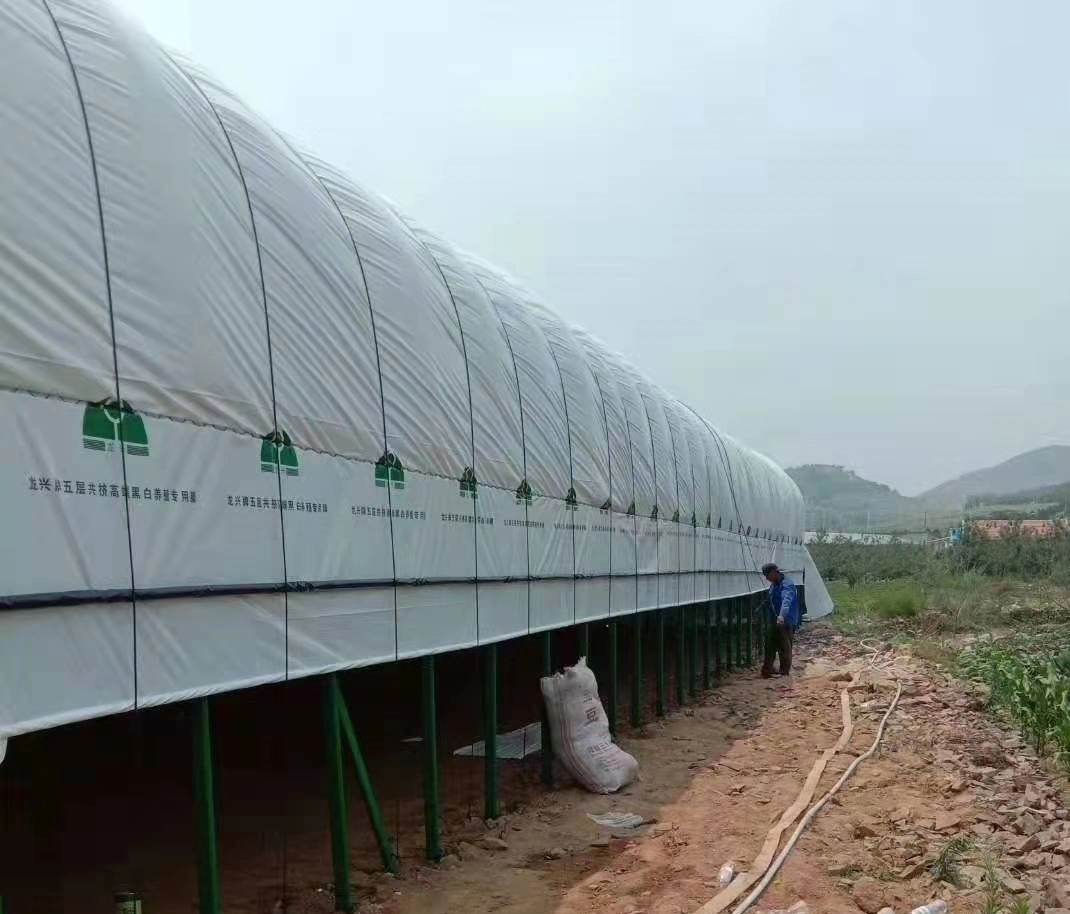 Best Quality 6 Mil Black and White PE Silage Cover Film for Agriculture Storage