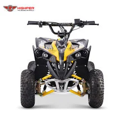 Nuevo Four-Wheel ATV de 1200W 48V 20Ah para niños Mini Quad