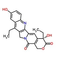 Supply 7-Ethyl-10-Hydroxycamptothecin Anti-Cancer CAS 119577-28-5 Manufacturer Made in China