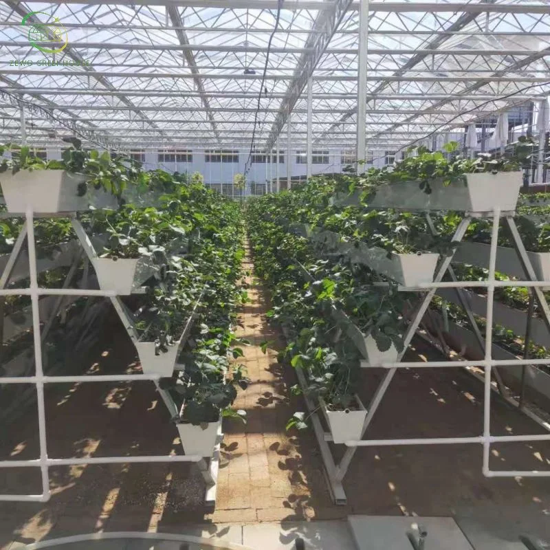 Farm Vegetable/Fruit Green House Use Soilless Cultivate Nft Hydroponics System