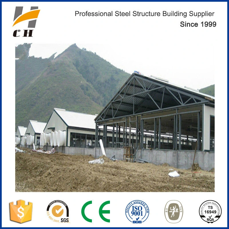 Prefab Steel Structure Poultry Farm Construction