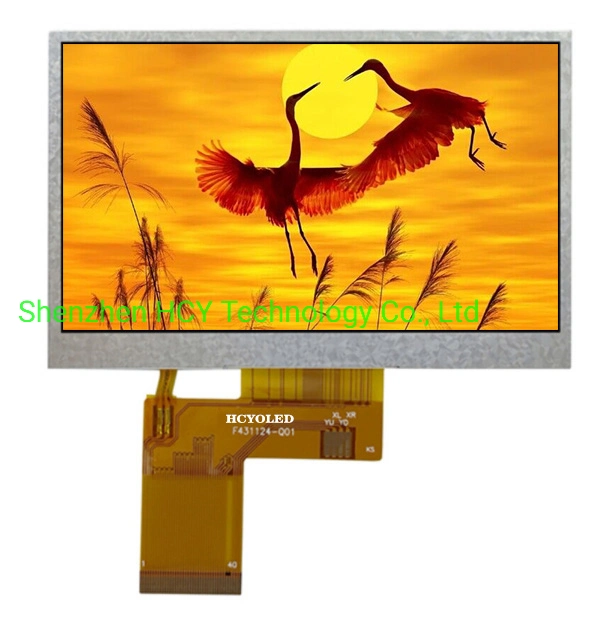 We Can Provide Customization Multi-Purpose 4.3-Inch Color TFT LCD Display for Medical, Instrument Industries