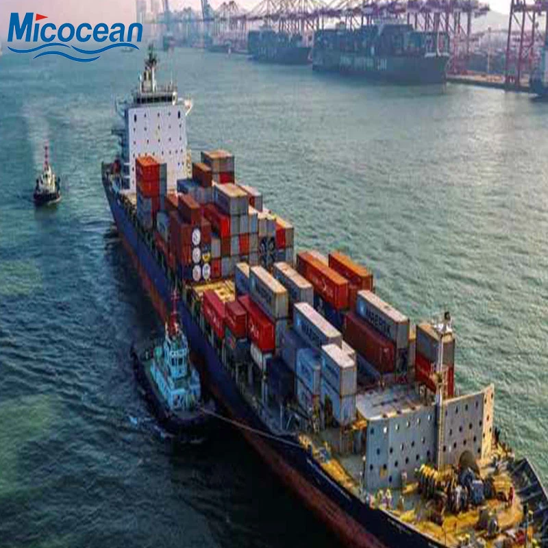 Door to Door Service LCL Sea/Ocean Freight Shipping Agent From China to Taranto, Italy