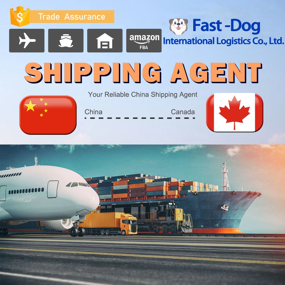 Amostra de Shenzhen LCL FCL Frete Warehouse Freight Agents Consolidation Serviço da China para o mundo inteiro