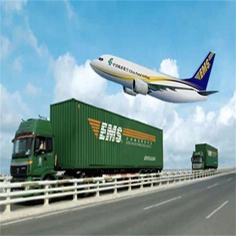 Sea Freight Shipping From Shenzhen to Worldwide Destinations