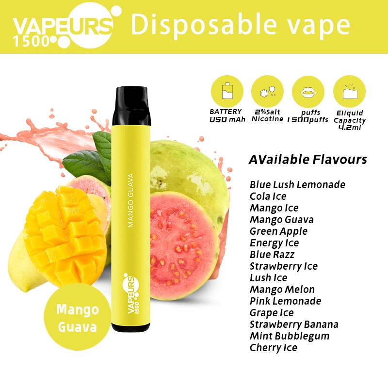 USA Vapeurs 1500 Puffs Disposable/Chargeable Vape Device E-Liquid Flavor and Vaping Equipment