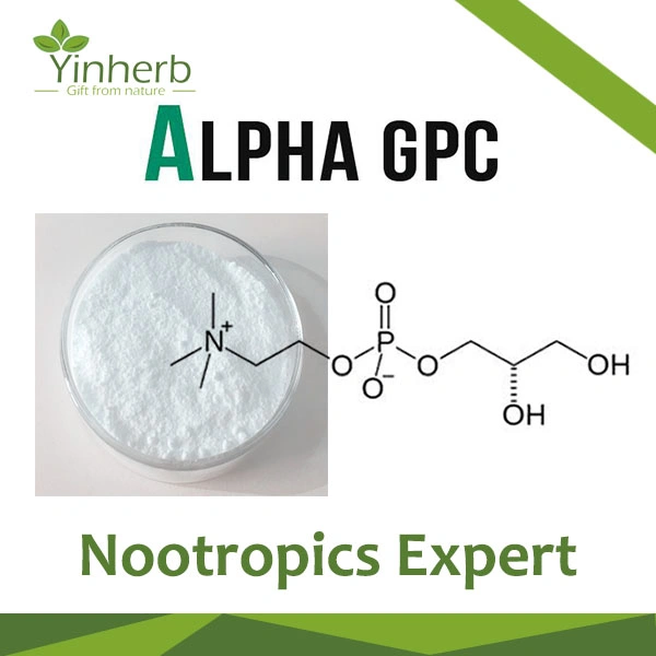 High quality/High cost performance  Alpha GPC Alpha-Glycerophosphoryl Choline Raw Powder