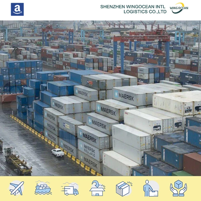 Professionnel excellent International Amazon Sea Freight Provider Service Sea Cargo Expédition au Mexique/Australie