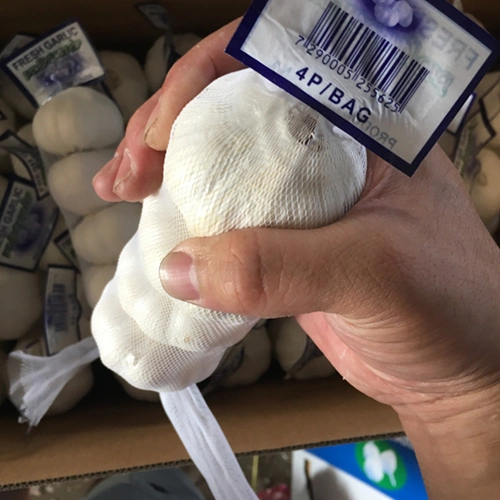 Wholesale/Supplier 4.5cm 5.0cm 5.5cm 6.0cm 10kg Carton Normal White Fresh Garlic Price