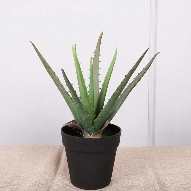 Plant Plastic Aloe with Pot for Family Decoration Greenery Aloe Bonsai