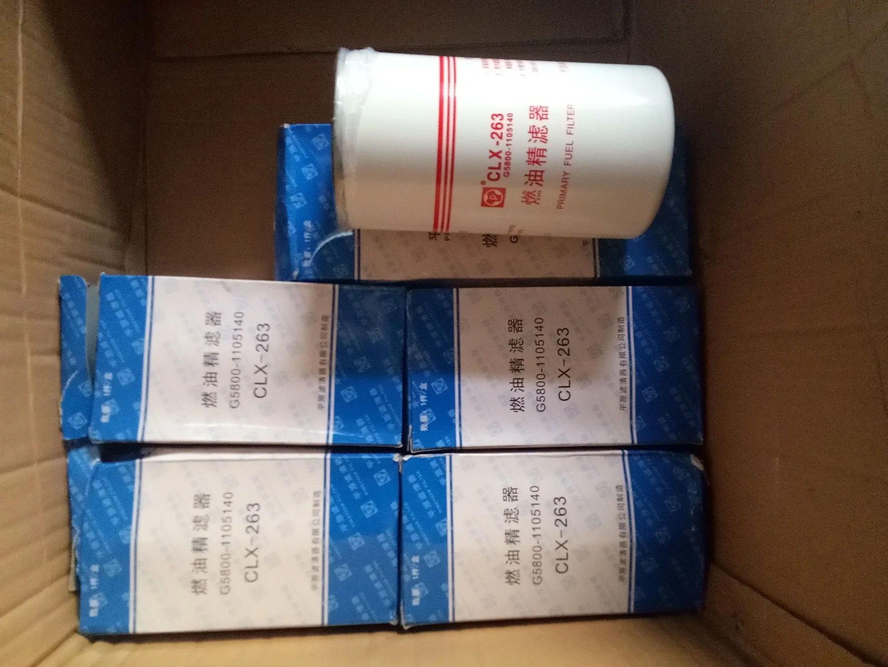 Xichai Special Spare Parts Draw No. 1117060A29dB Fuel Filter